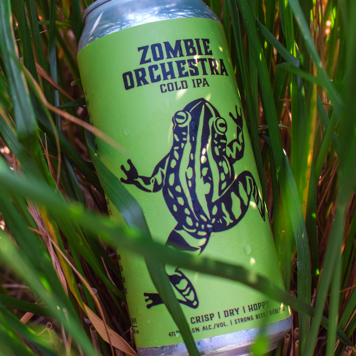 ZOMBIE ORCHESTRA | Cold IPA 4x473ml cans